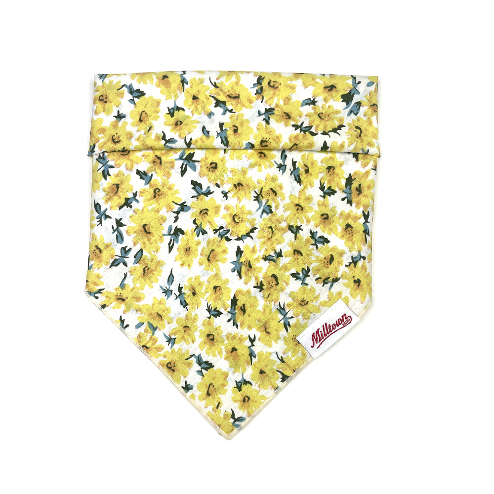 Square Dog Bandana - Yellow Cosmos