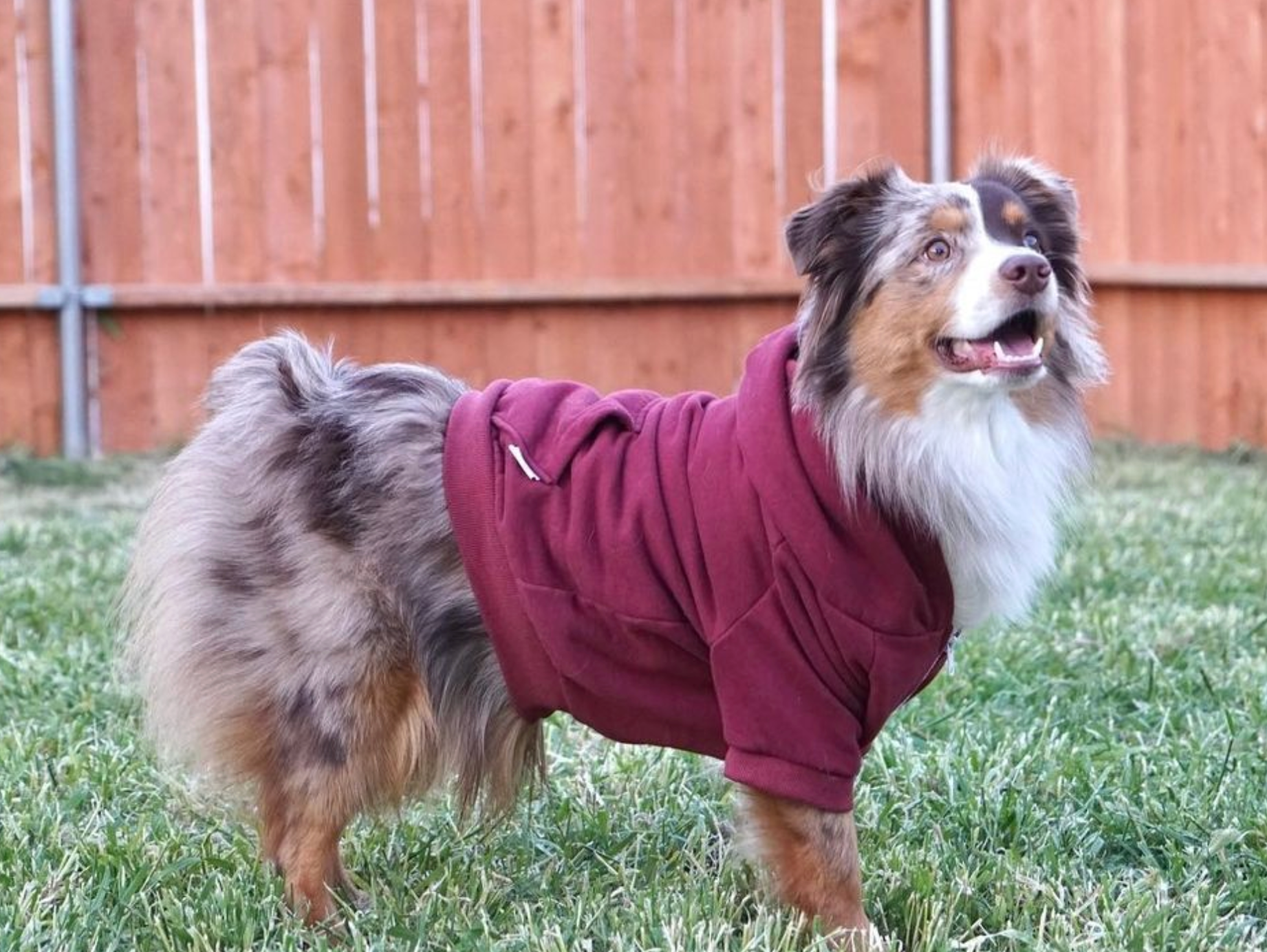 Zip up dog sweater outlet