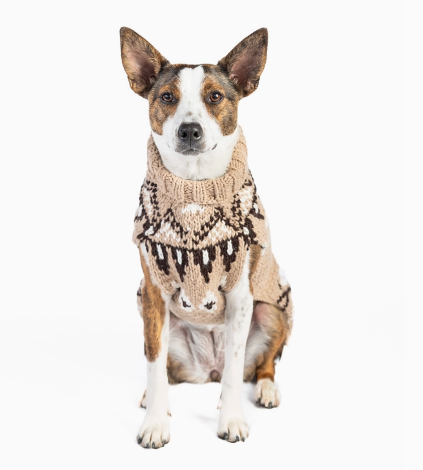 Chilly Dog Sweater - Sandy Canble Knit