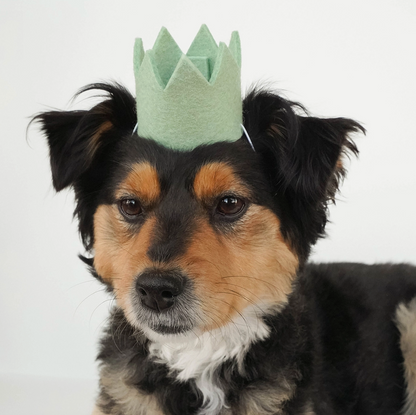 Modernbeast - Party Crowns