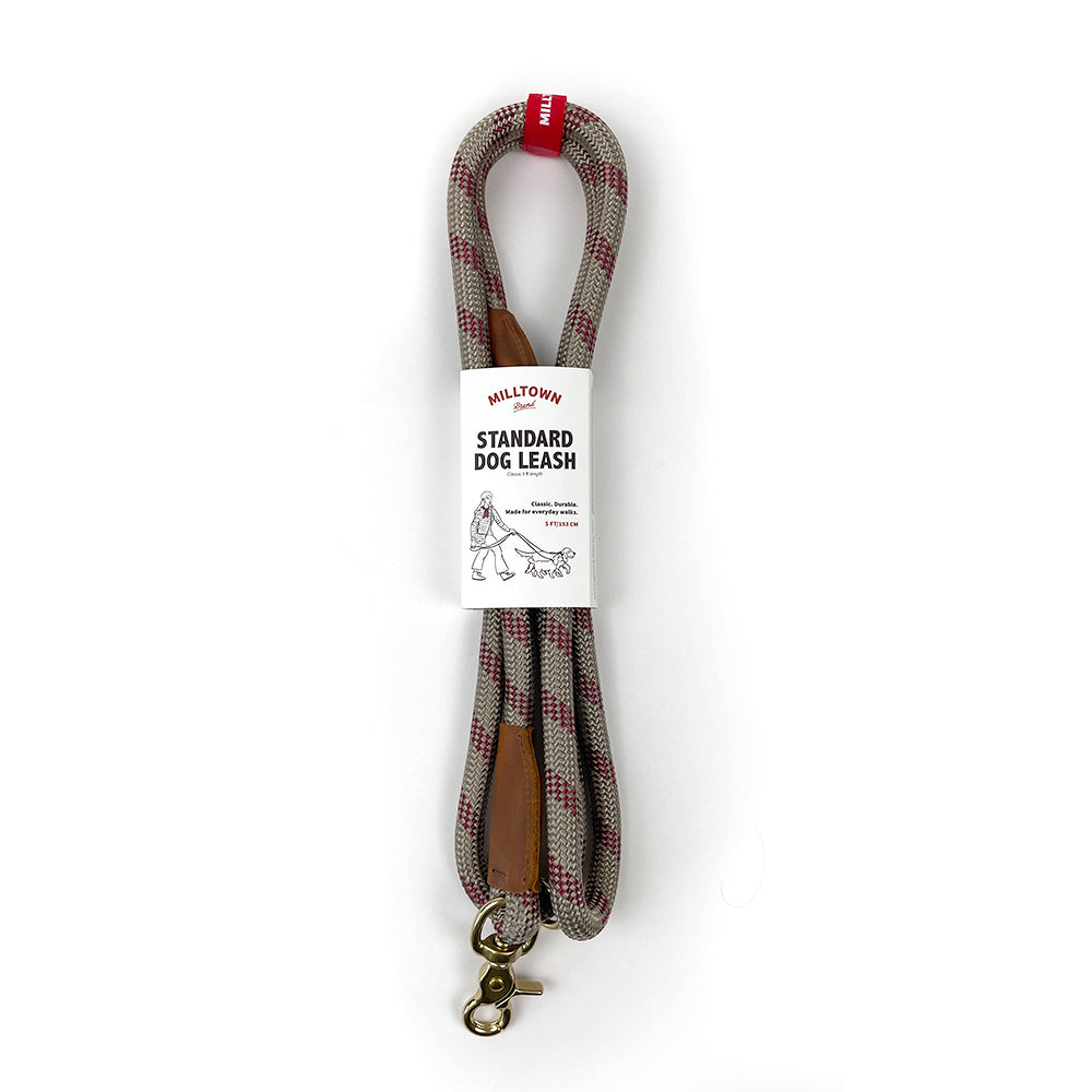 Standard Dog Leash – 5 ft Braided Nylon Rope with Solid Brass Hardware - Beige