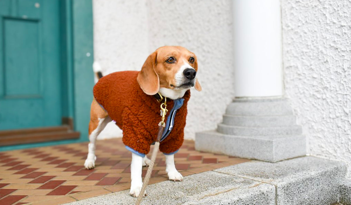 sherpa fleece dog winter coat