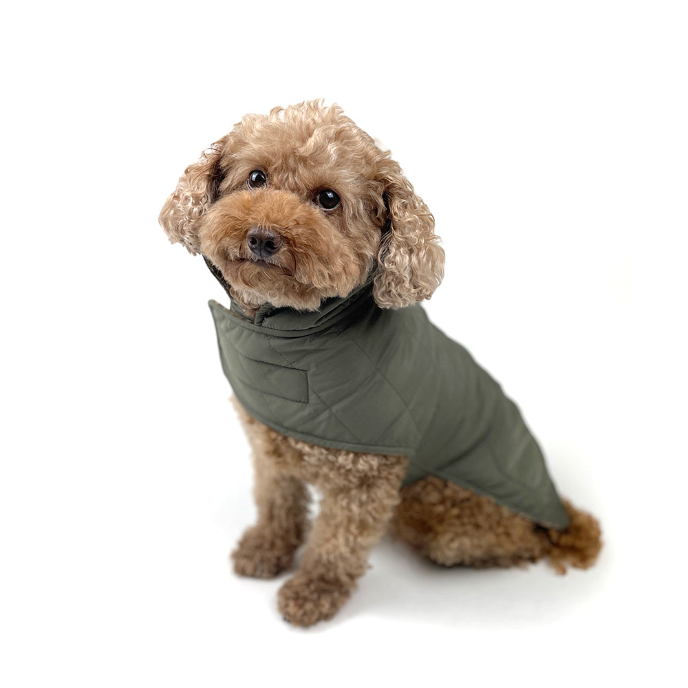 Dog Reversible Winter Coat - Army Green