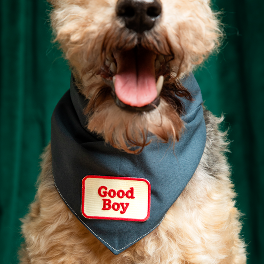 Scout's Honour - Good Boy iron-on patch for dogs