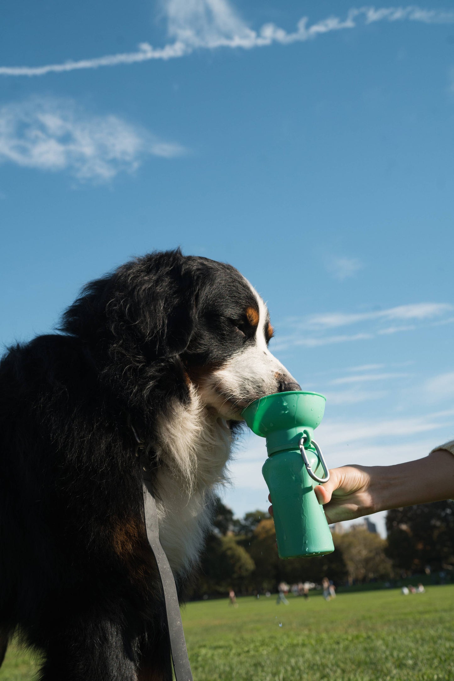 Dog Travel Water Bottle - 20oz Flip : Black