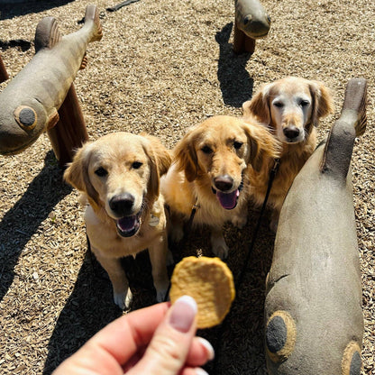 Farm To Pet - Walleye Fish Chips Dog Treats – Made in USA: Standard 4oz