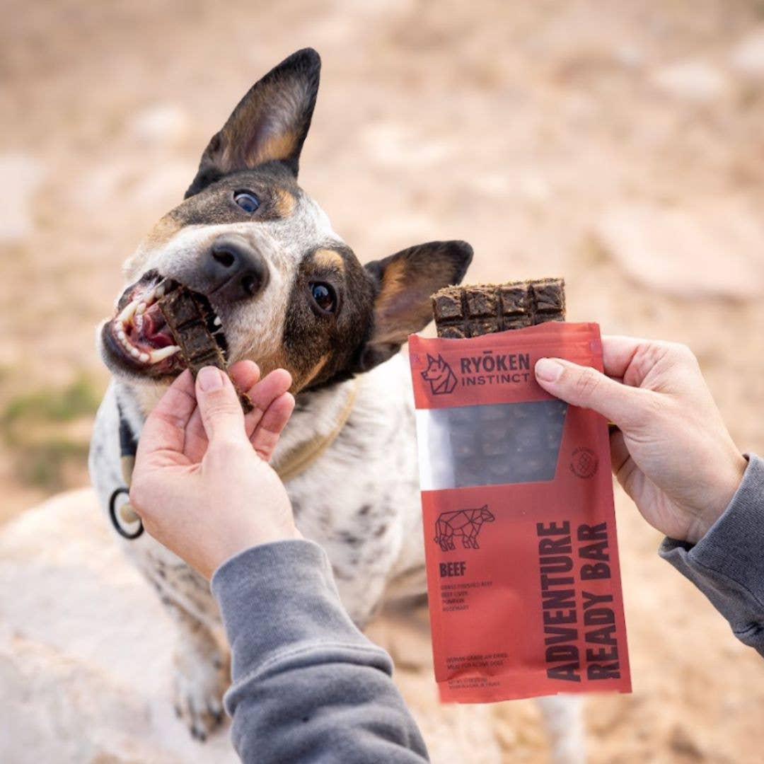 RYŌKEN INSTINCT - Beef Treat & Snack Bar for Active Dogs - Energy & Recovery