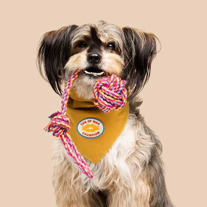 Scout's Honour - Tug of War Champion iron-on patch for dogs