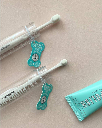 Wag & Bright Supply Co. : Puppy Polisher Eco Toothbrush - (Medium)