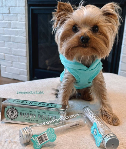 Wag & Bright Supply Co.: Puppy Polisher Mini Eco Toothbrush (Small)