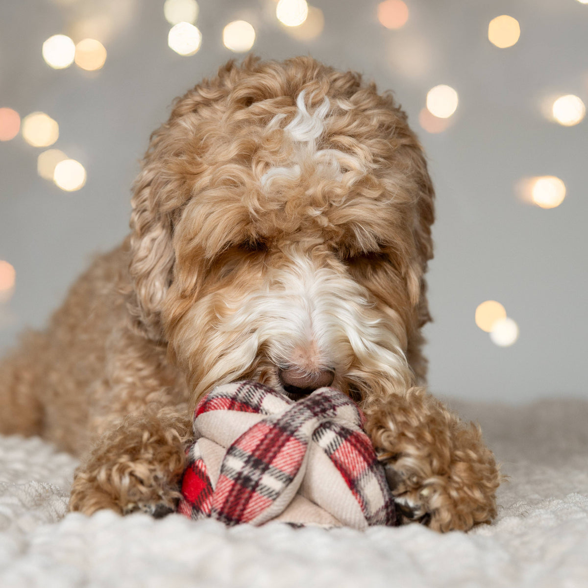 Lambwolf Collective - FLANNEL MONTI // ENRICHMENT DOG TOY // HOLIDAY