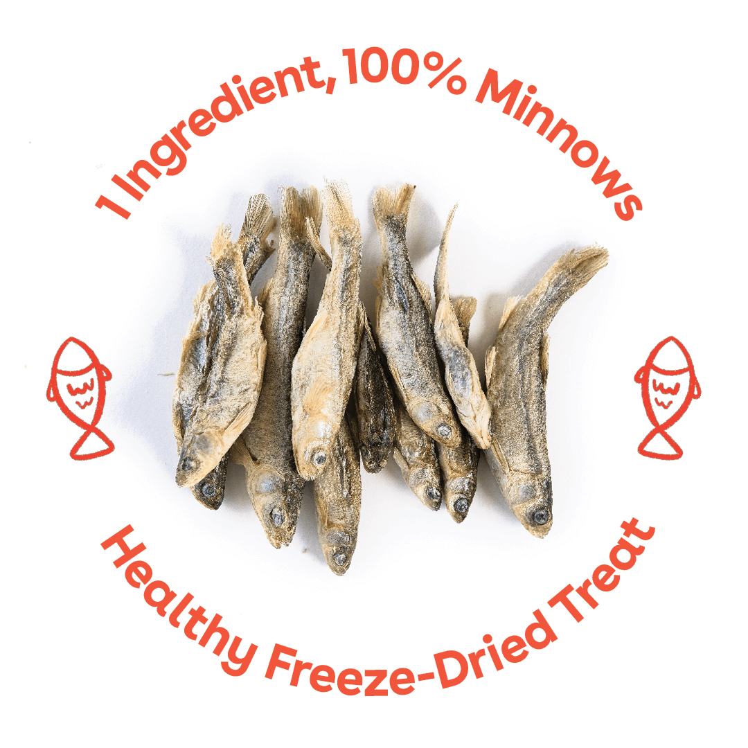 Pupford - Freeze Dried Minnows 2.8oz