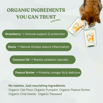 Botanical Bones - Love Bites - Organic Dog Treats, Strawberry & Peanut Butter