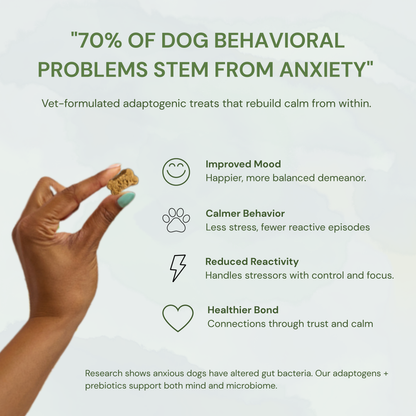 Botanical Bones - Balance + Calm Cookies - All Natural, Organic Dog Treats