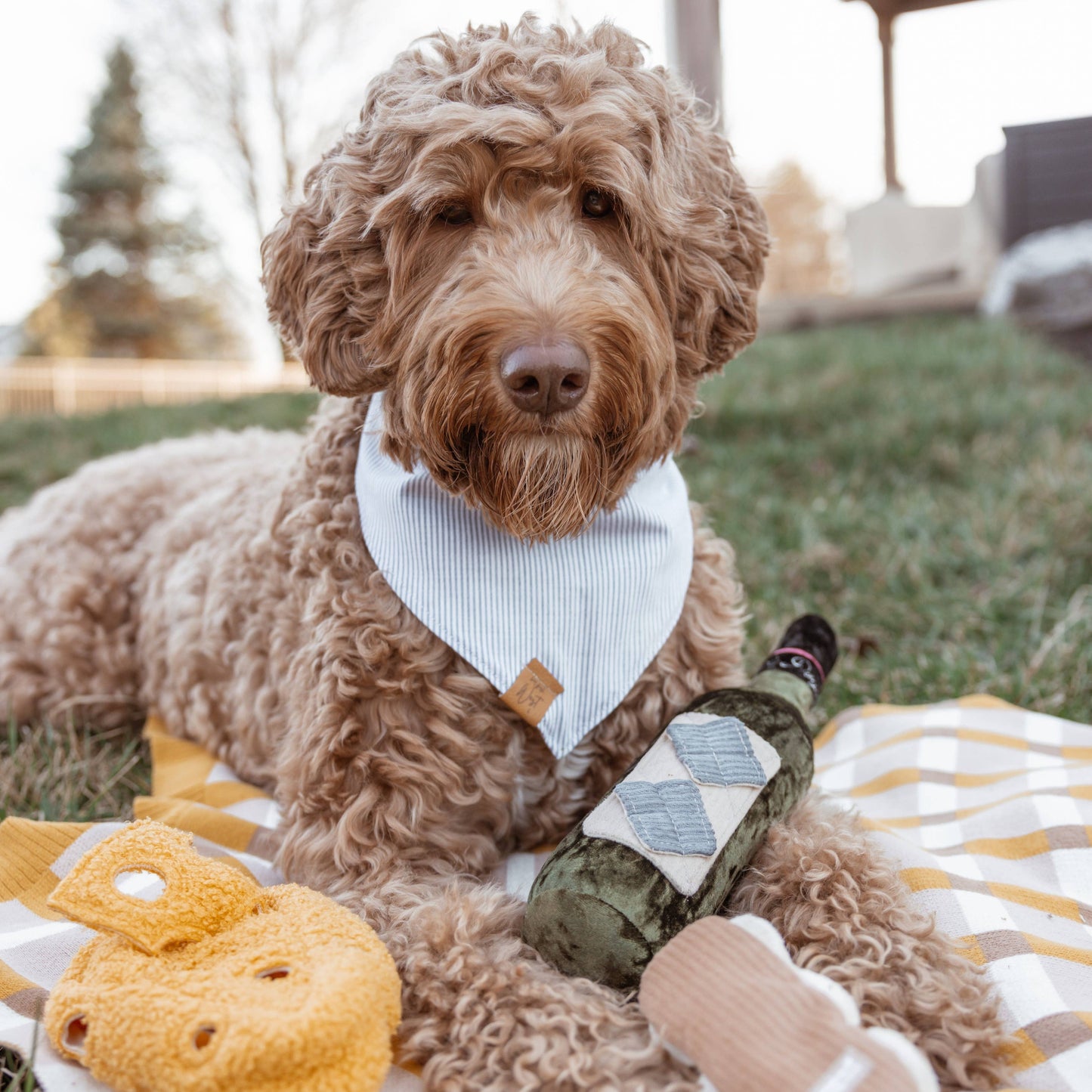 Lambwolf Collective - MERLOT // ENRICHMENT DOG TOY // SNUFFLE TOY