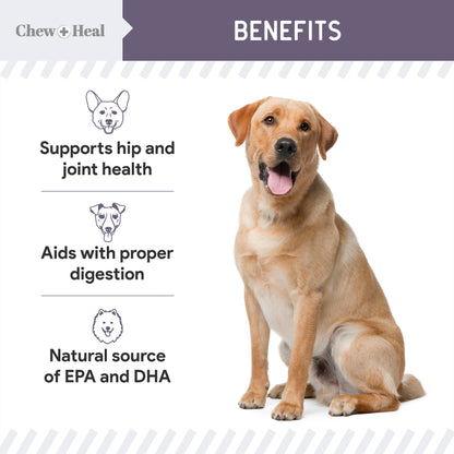 Chew + Heal : Senior Wild Alaskan Salmon Limited Ingredient Dog Treats: 5oz