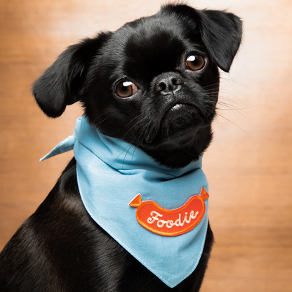 Scout's Honour - Foodie iron-on patch for dogs