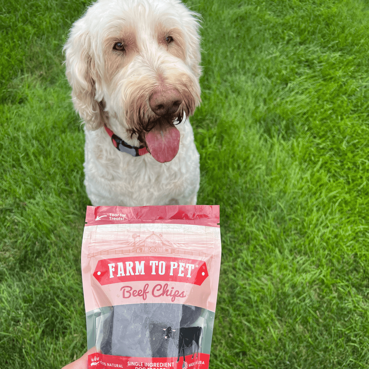 Farm To Pet - Beef Chips Dog Treats – Made in USA: Standard 4oz