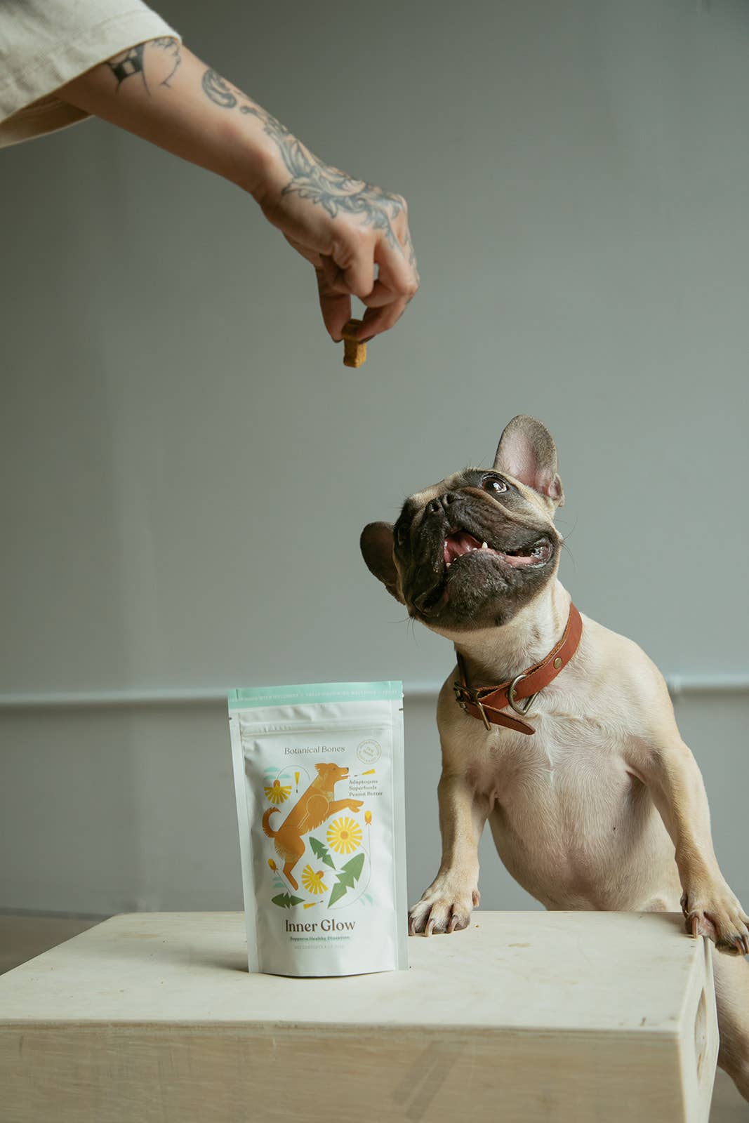 Botanical Bones - Inner Glow Cookies - All Natural, Organic Dog Treats