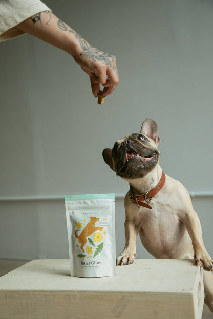 Botanical Bones - Inner Glow Cookies - All Natural, Organic Dog Treats