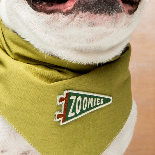 Scout's Honour - Zoomies iron-on patch for dogs