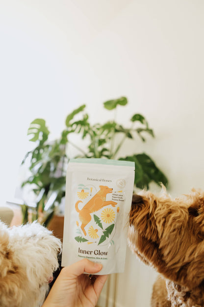 Botanical Bones - Inner Glow Cookies - All Natural, Organic Dog Treats