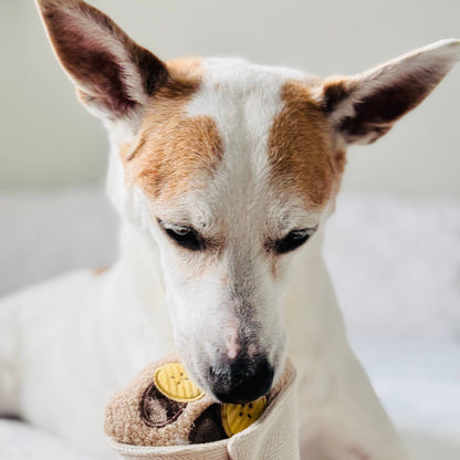 Lambwolf Collective - CREPE // ENRICHMENT DOG TOY