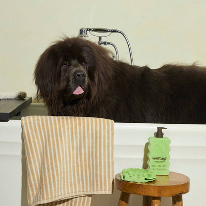 Well tayl - Dog Coat Wash + Conditioner (Cat-Safe)