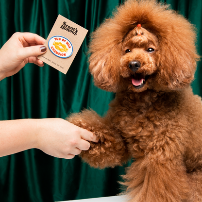 Scout's Honour - Tug of War Champion iron-on patch for dogs