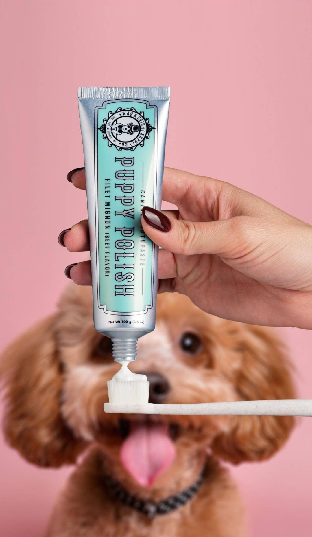 Wag & Bright Supply Co. : Puppy Polisher Eco Toothbrush - (Medium)
