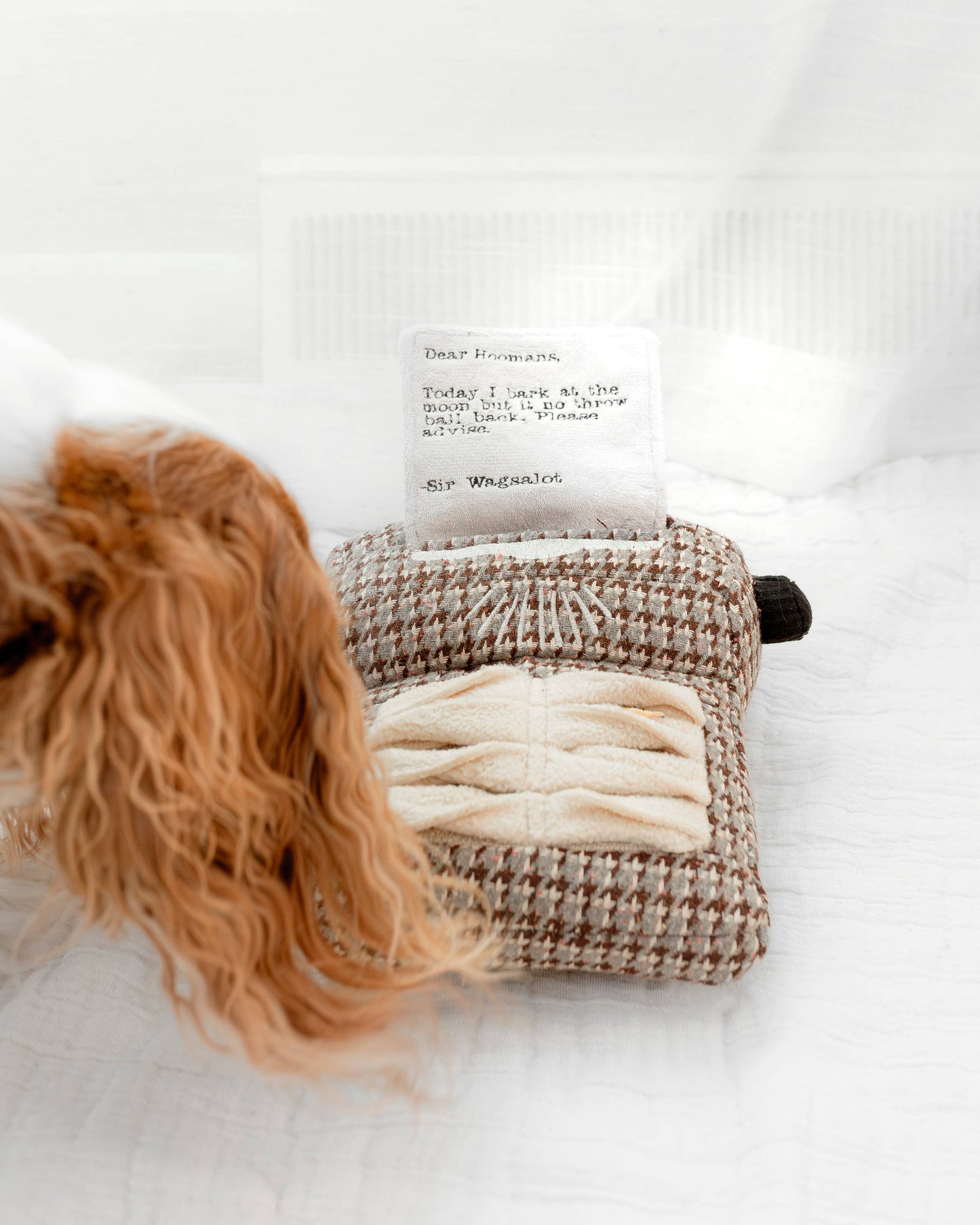 Lambwolf Collective: Typrewriter - Enrichment Dog Toy