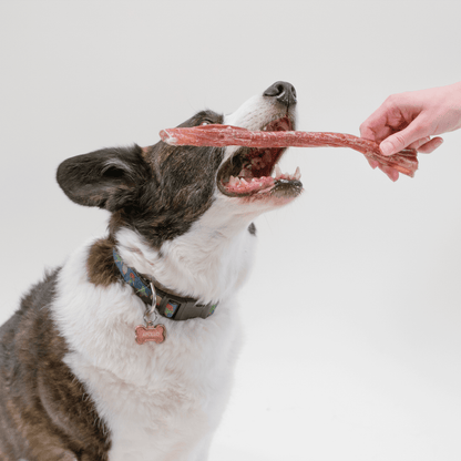 Bully Stick Dog Chew 12" 4 Pack