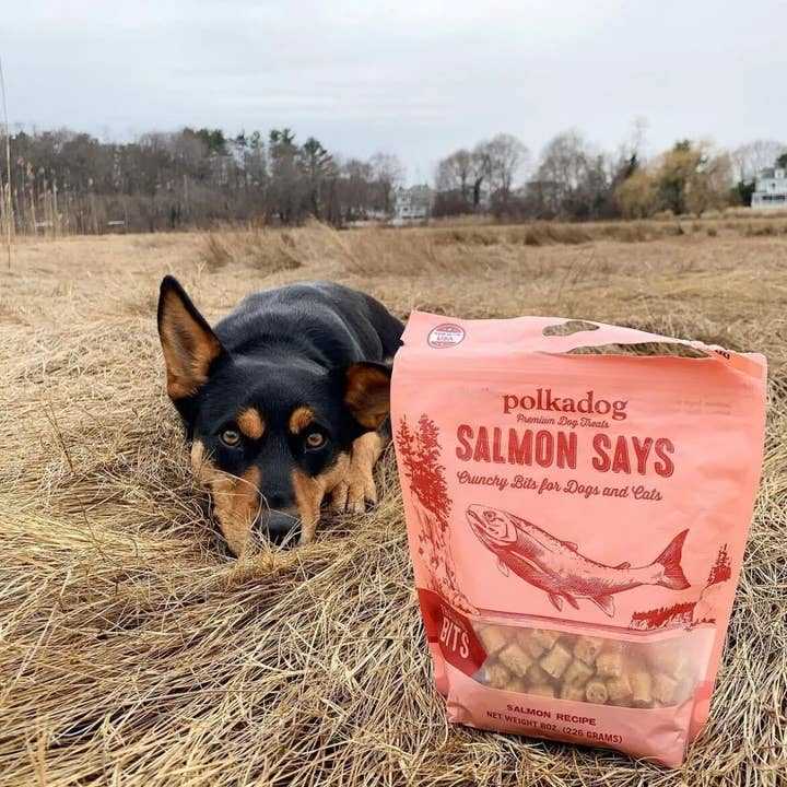 Polkadog - Salmon Says Training Bits Crunchy Dog & Cat Treats