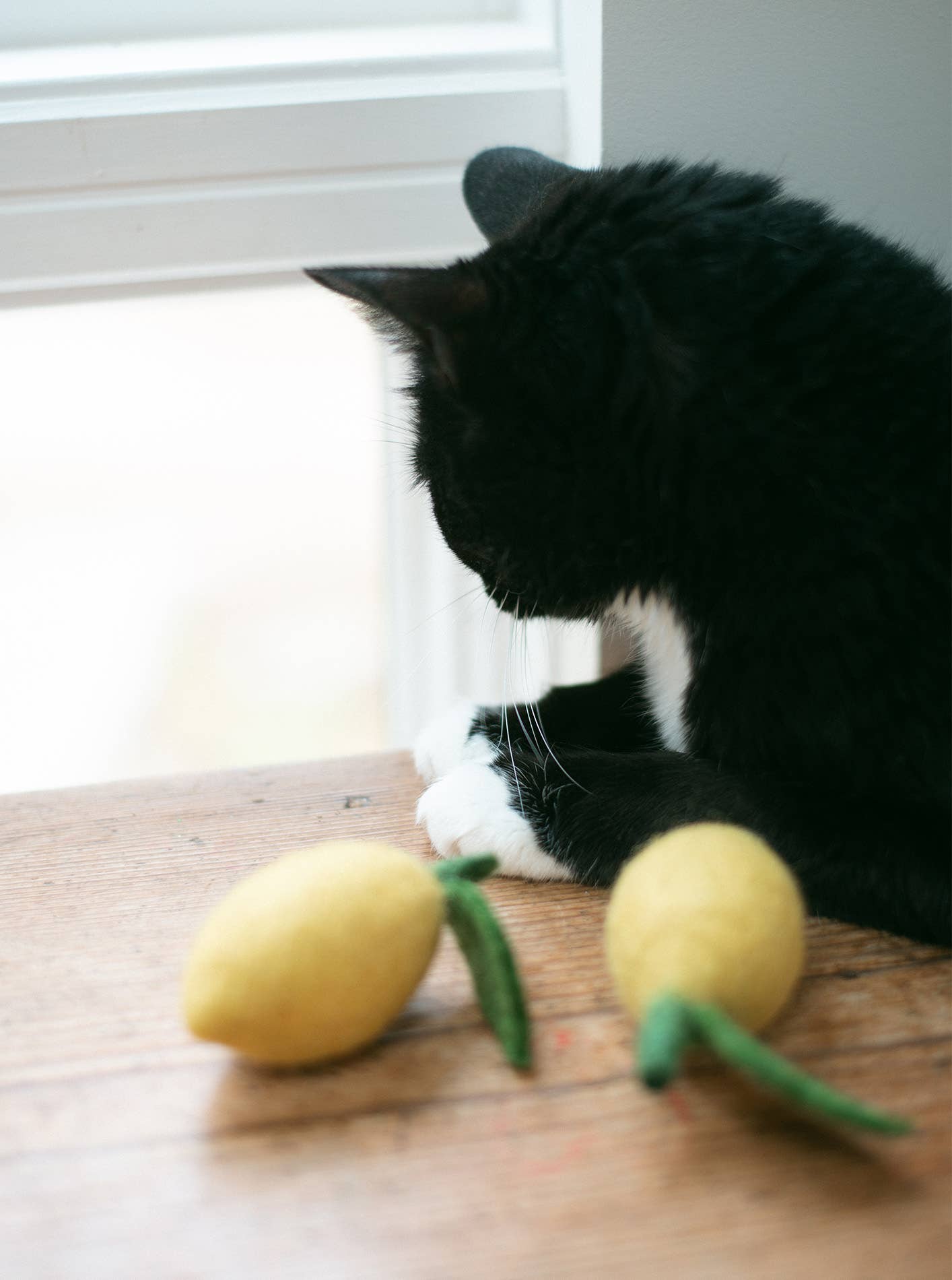 Modernbeast - LEMON Wool Dog & Cat Toy: Large
