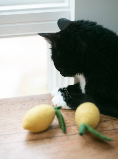Modernbeast - LEMON Wool Dog & Cat Toy: Large