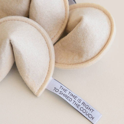 Modernbeast - KITTY FORTUNE COOKIE Organic Catnip Cat Toy: You Will Catch the Mouse