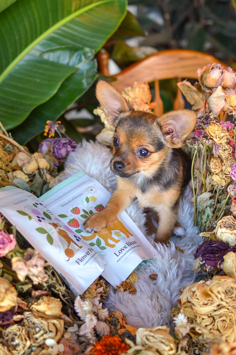 Botanical Bones - Love Bites - Organic Dog Treats, Strawberry & Peanut Butter