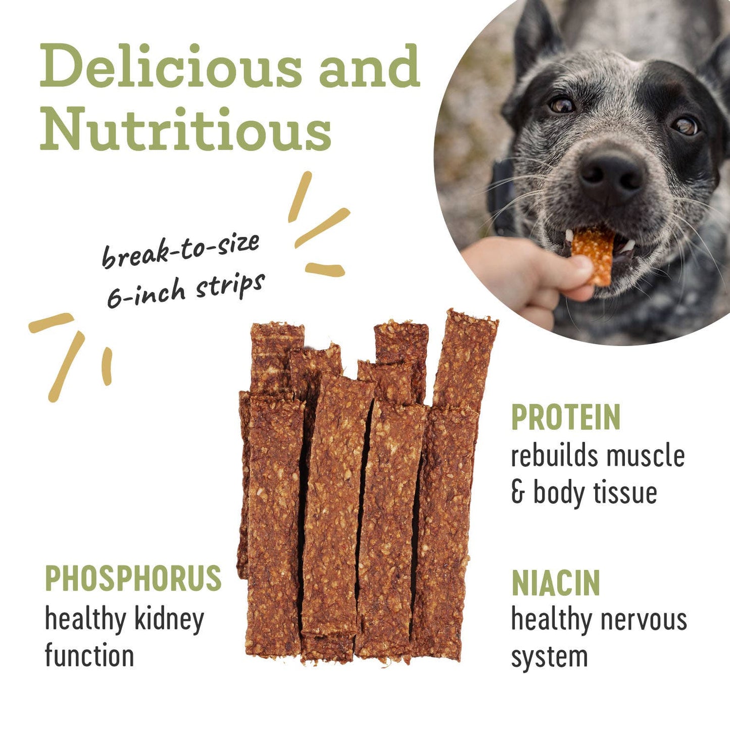 Farm Hounds - Turkey Strips - All-Natural Dog Treats - 4.5 oz: 4.5oz
