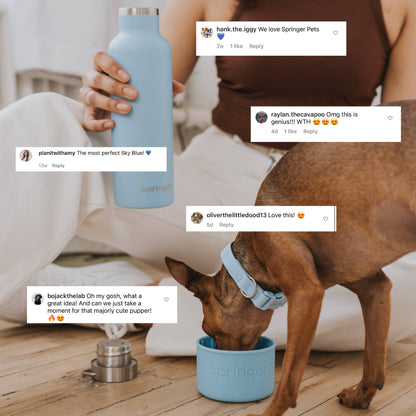 Springer Pets - Dog & Me 24oz Insulated Water Bottle - Sky Blue