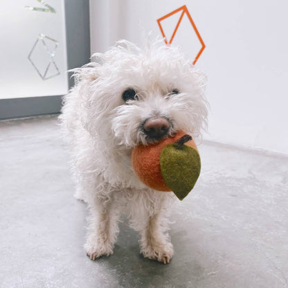 Modernbeast - Wool Felt Toy - Doggy Peach