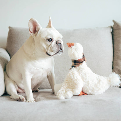 Lambwolf Collective - GUS // ENRICHMENT DOG TOY // Cuddle + Plush Toy