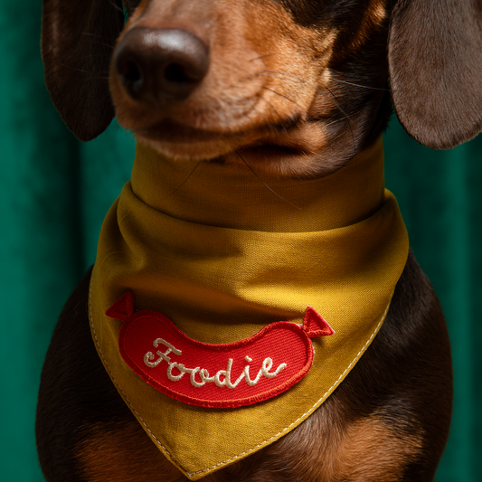 Scout's Honour - Foodie iron-on patch for dogs