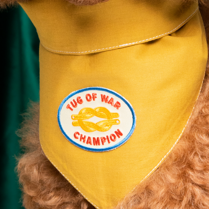 Scout's Honour - Tug of War Champion iron-on patch for dogs