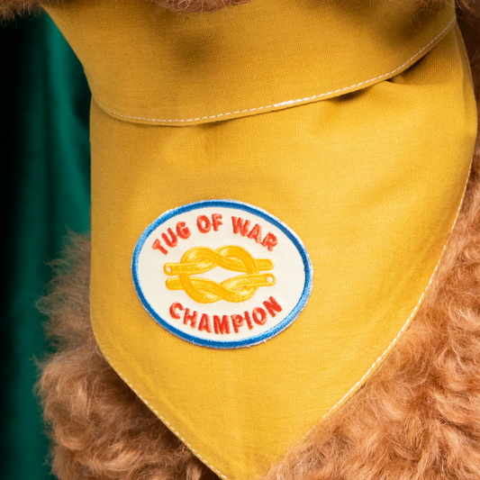 Scout's Honour - Tug of War Champion iron-on patch for dogs