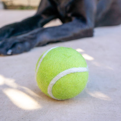 Friendsheep - Wool Felt Tennis Ball Dog Toy