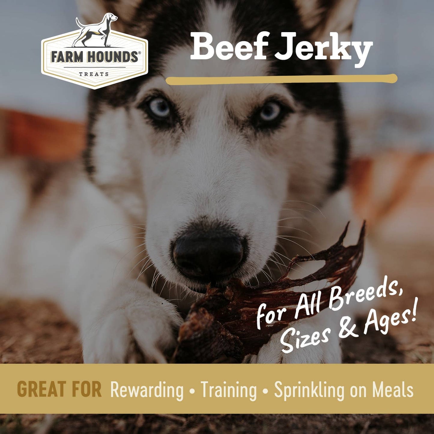 Farm Hounds - Beef Jerky - All-Natural Dog Treats - 3.5oz: 3.5oz