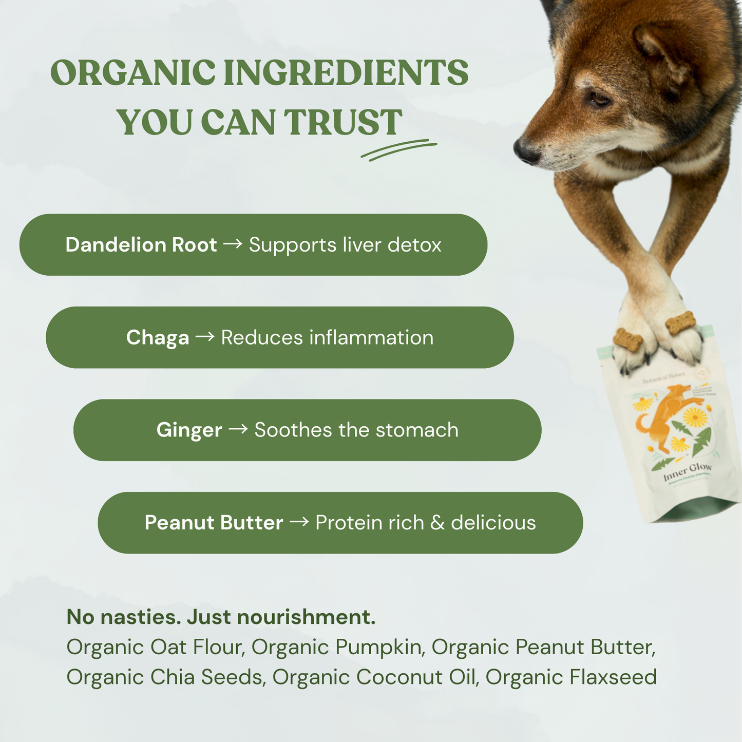 Botanical Bones - Inner Glow Cookies - All Natural, Organic Dog Treats