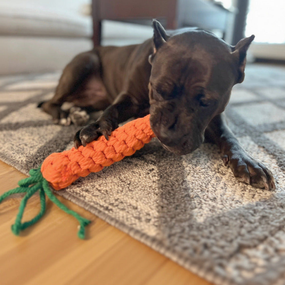 Monli Pet Toys - Handmade Vegetable Rope Toys, Macrame Toys: Large Carrot