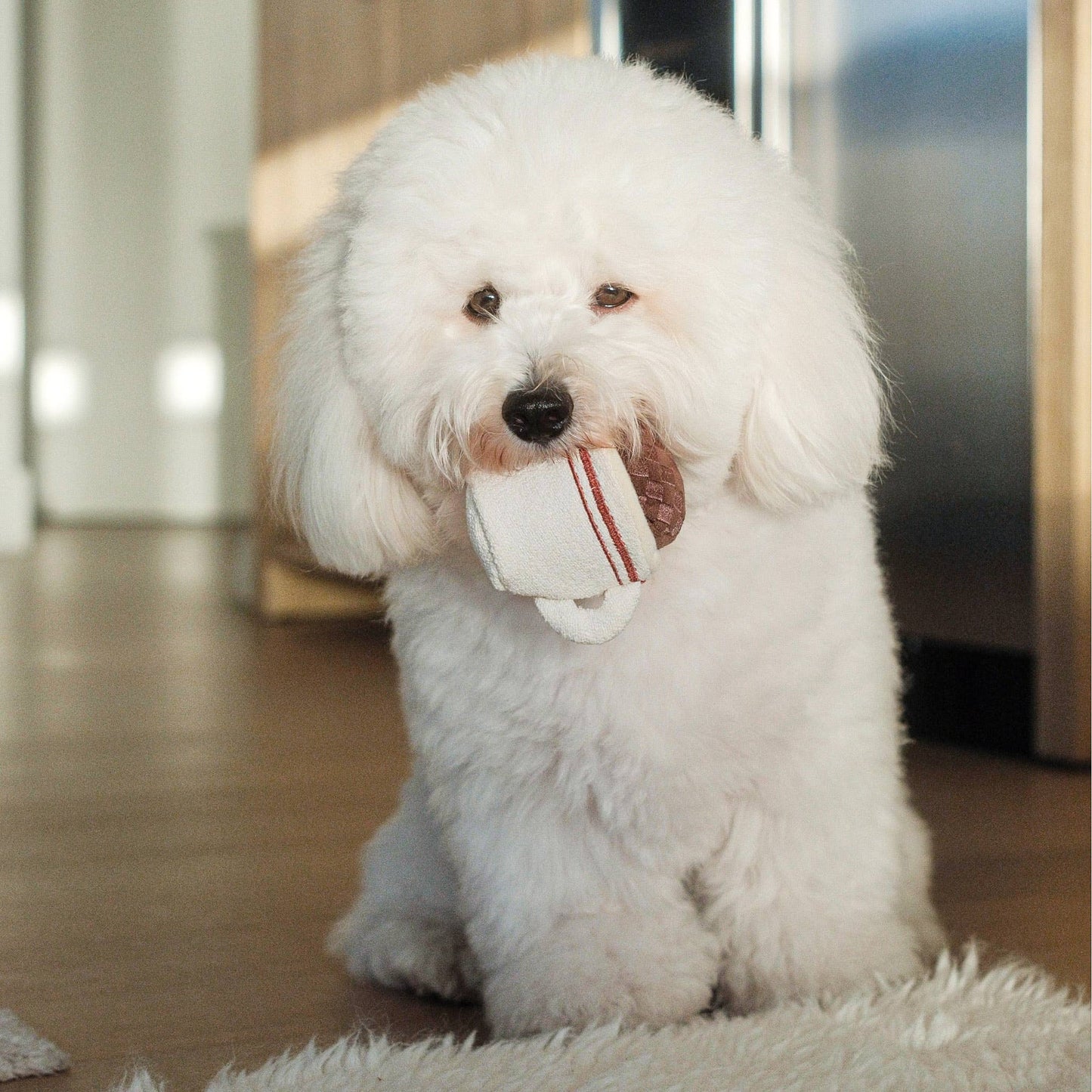 Lambwolf Collective - ESPRESSO POP // ENRICHMENT DOG TOY // Squeaky Ball