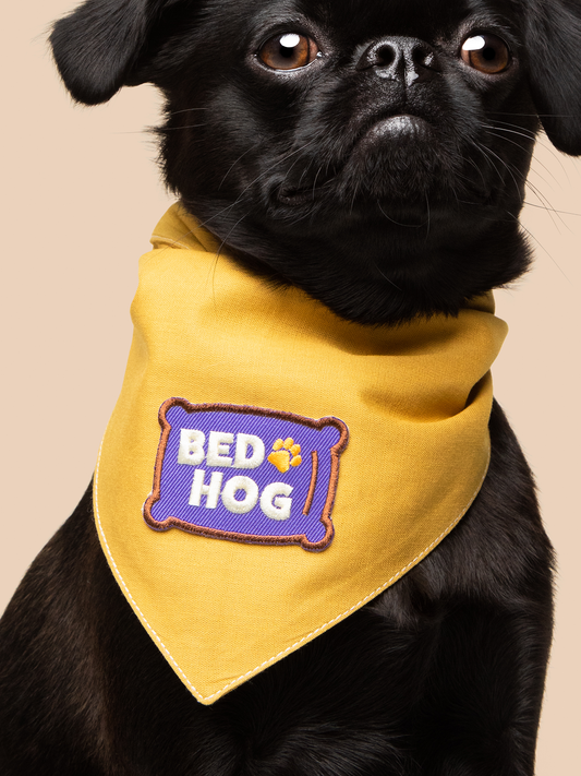 Scout's Honor - Bed Hog iron-on patch for dogs